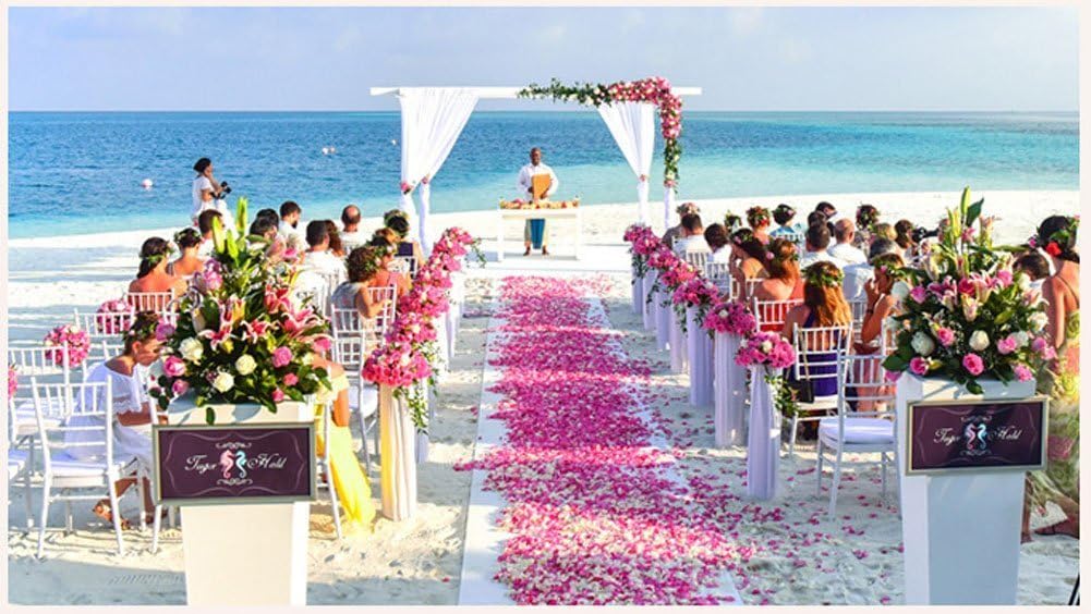 ocharzy 1000pcs Rose Petals Artificial Silk Flower Rose Petals for Wedding Decorations, Romantic