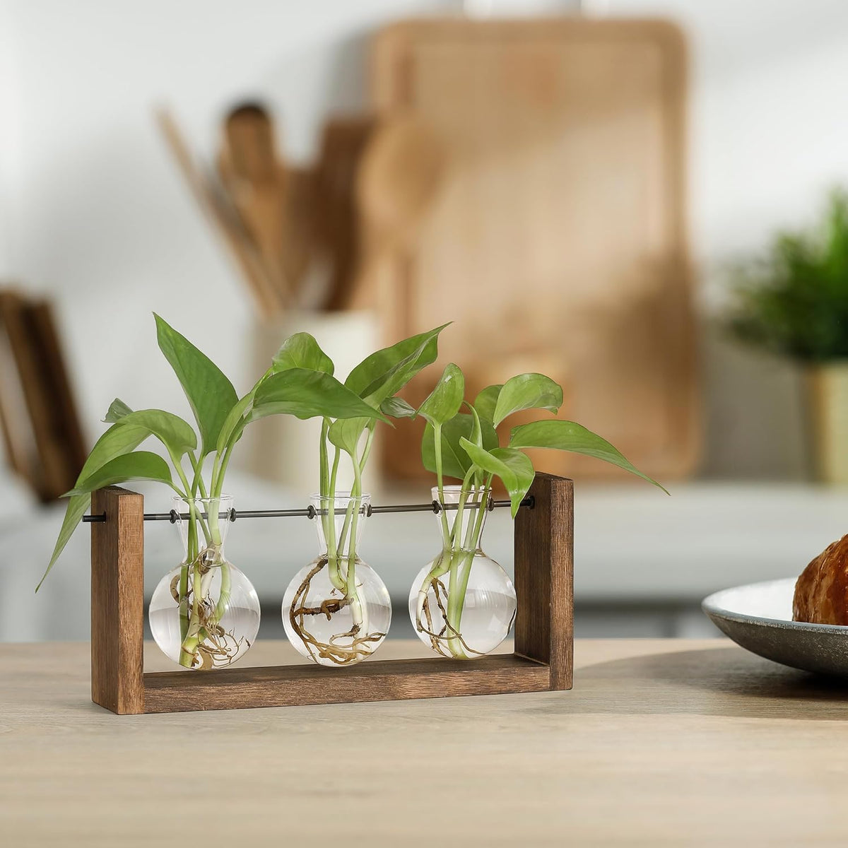 YIBOT Plants Propagation Stations,Plant Terrarium with Wooden Stand Wall Hanging Glass Planter