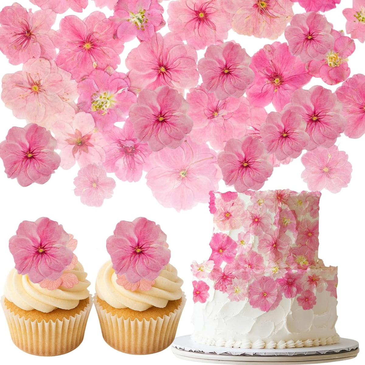 40 Pcs 2 Kinds Natural Pressed Dried Edible Flowers for Cake Topper Decoration - Pink Mix Sakura
