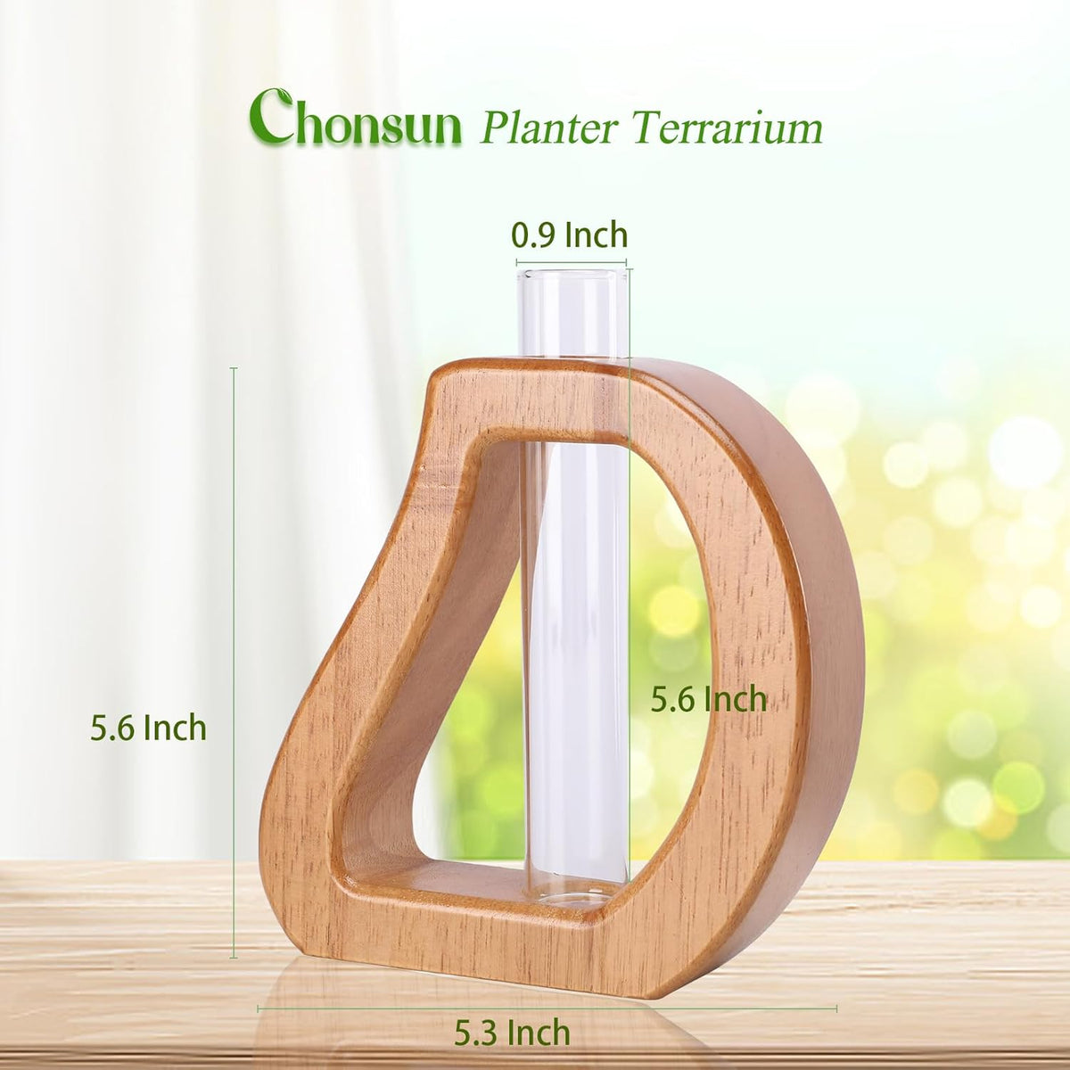 Plant Propagation Stations Wall Hanging Terrariums Home Decor Plants Glass Test Tube Planter with