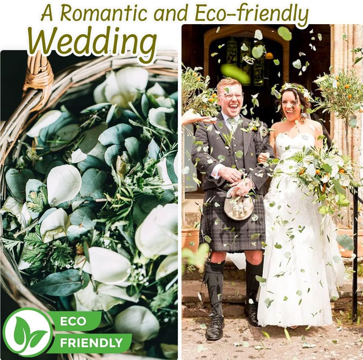 3200Preserved Real Eucalyptus Leaves Small, Pure Natural Bulk Eucalyptus, Biodegradable Wedding