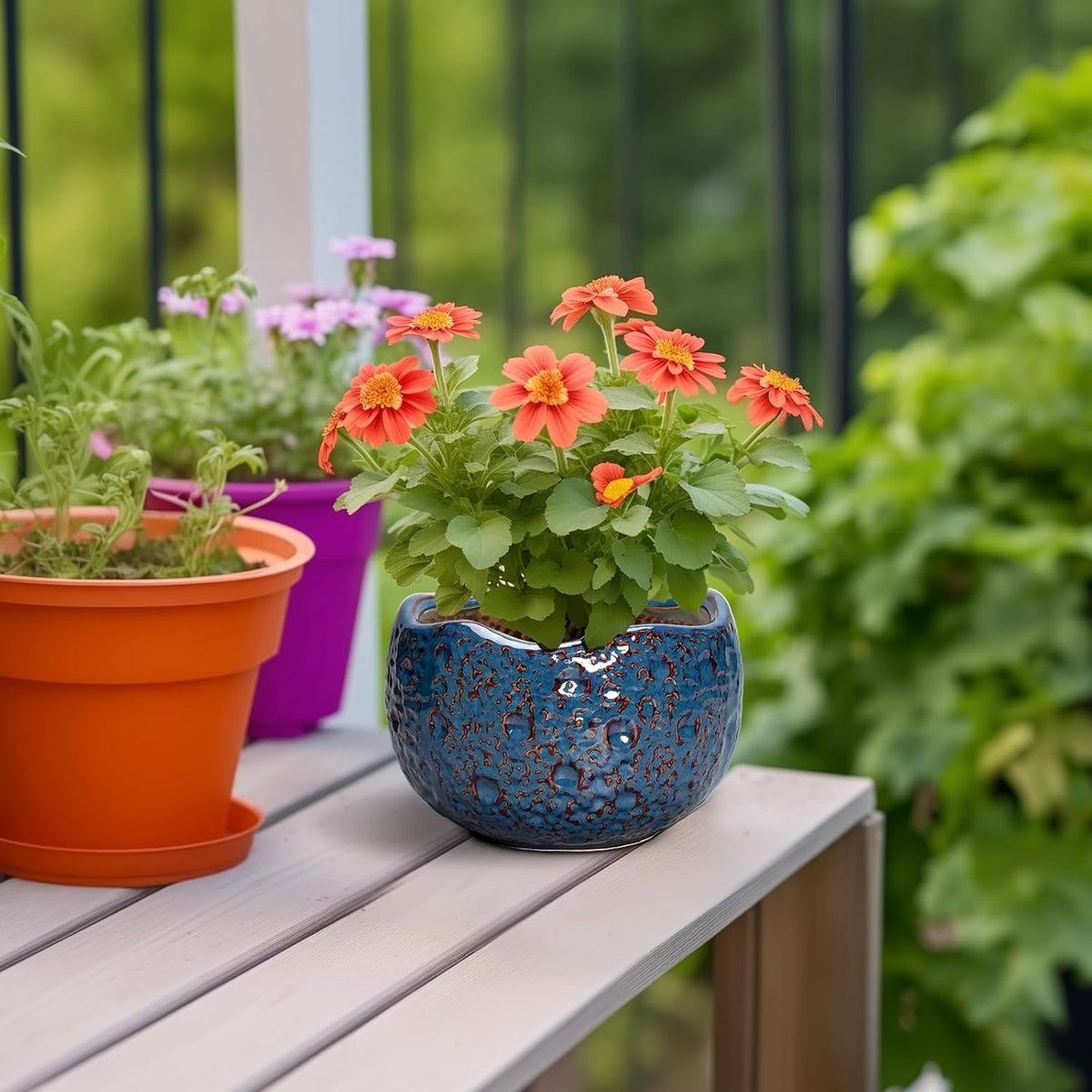 6 Inch Plant Pot - Ceramic Pots for Plants with Drainage Hole, Round Orchid Pot, Unique Planter for