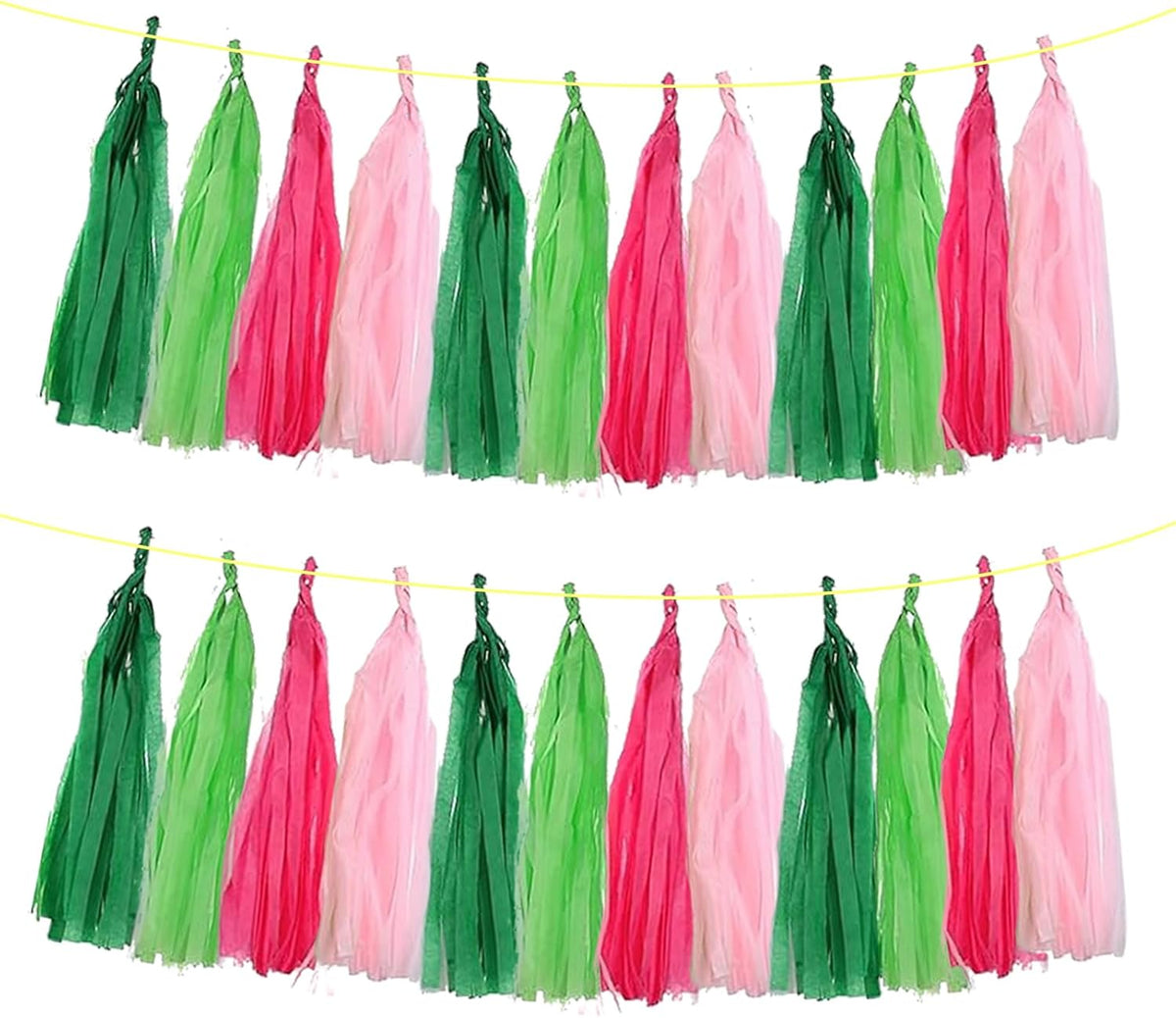 ZOOYOO Tassel Garland Tissue Paper Tassel Banner Table Decor, DIY Kits for Birthday Wedding