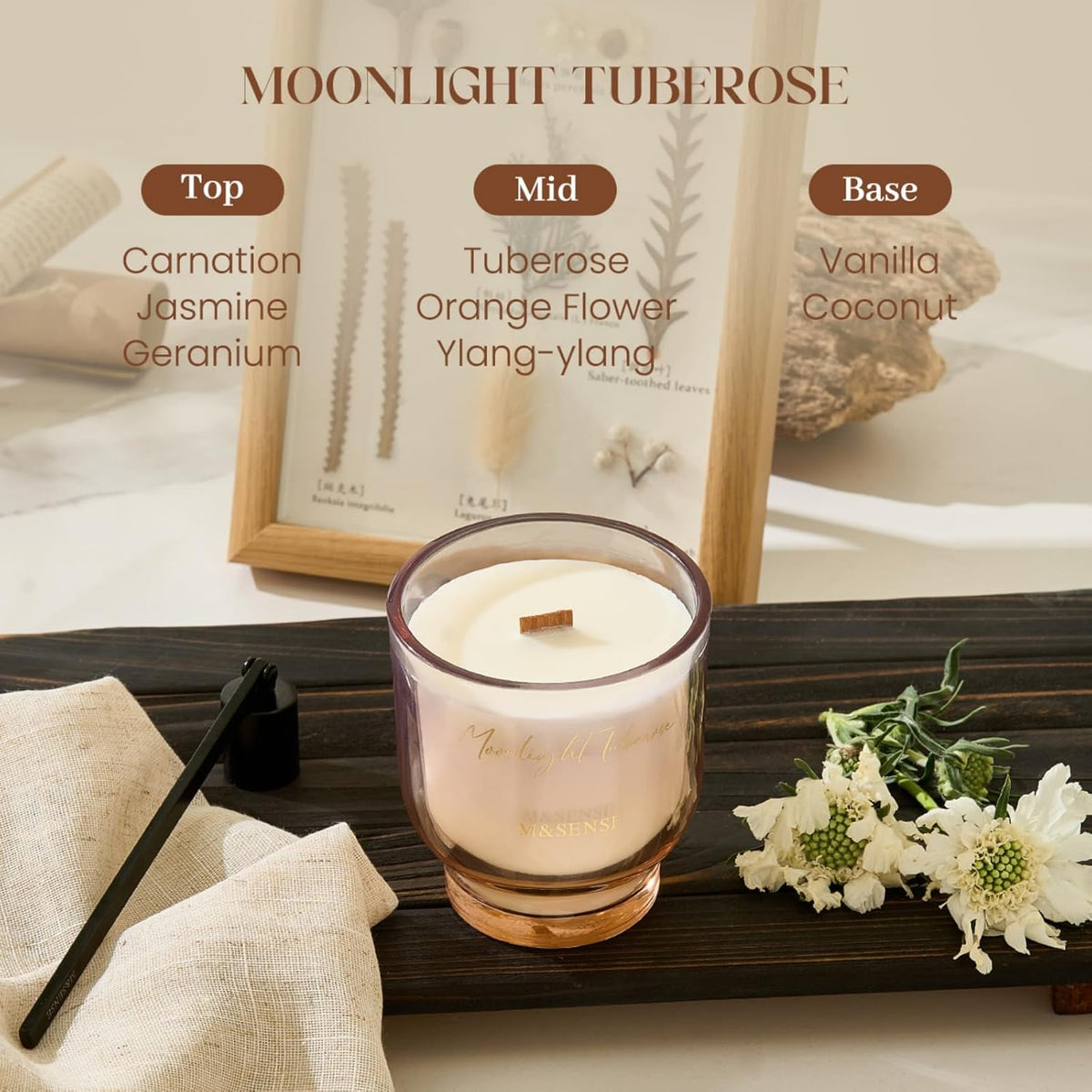 M&SENSE 9.88oz Natural Soy Wax Jar Candle with Wooden Wick | Moonlight Tuberose Scent | 55-Hour
