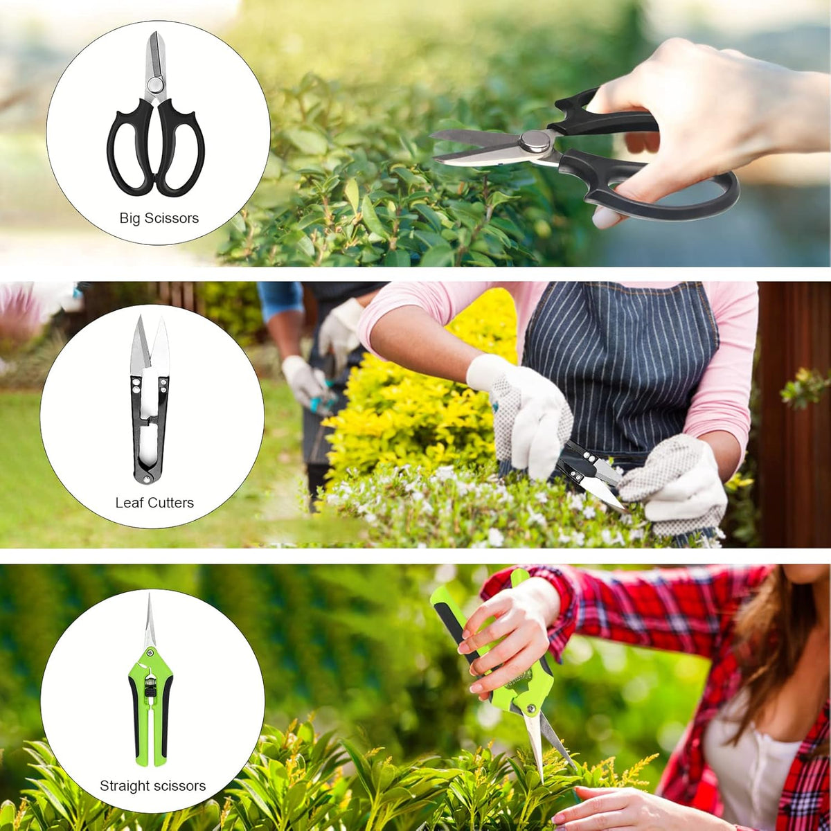 Bonsai Tree Kit, 20 Pcs Gardening Succulent Tools Set, Bonsai Tool Kit Include 262 Feet Bonsai