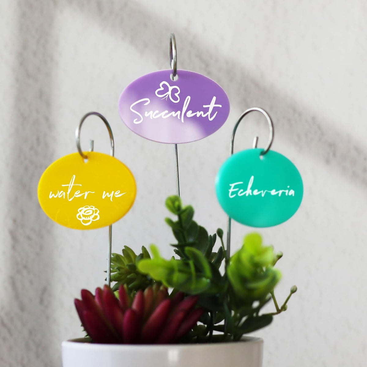 Temlum Plant Labels With Marker Pen, 25 Pcs Garden Markers Label Stakes Sign Tags for Outdoor