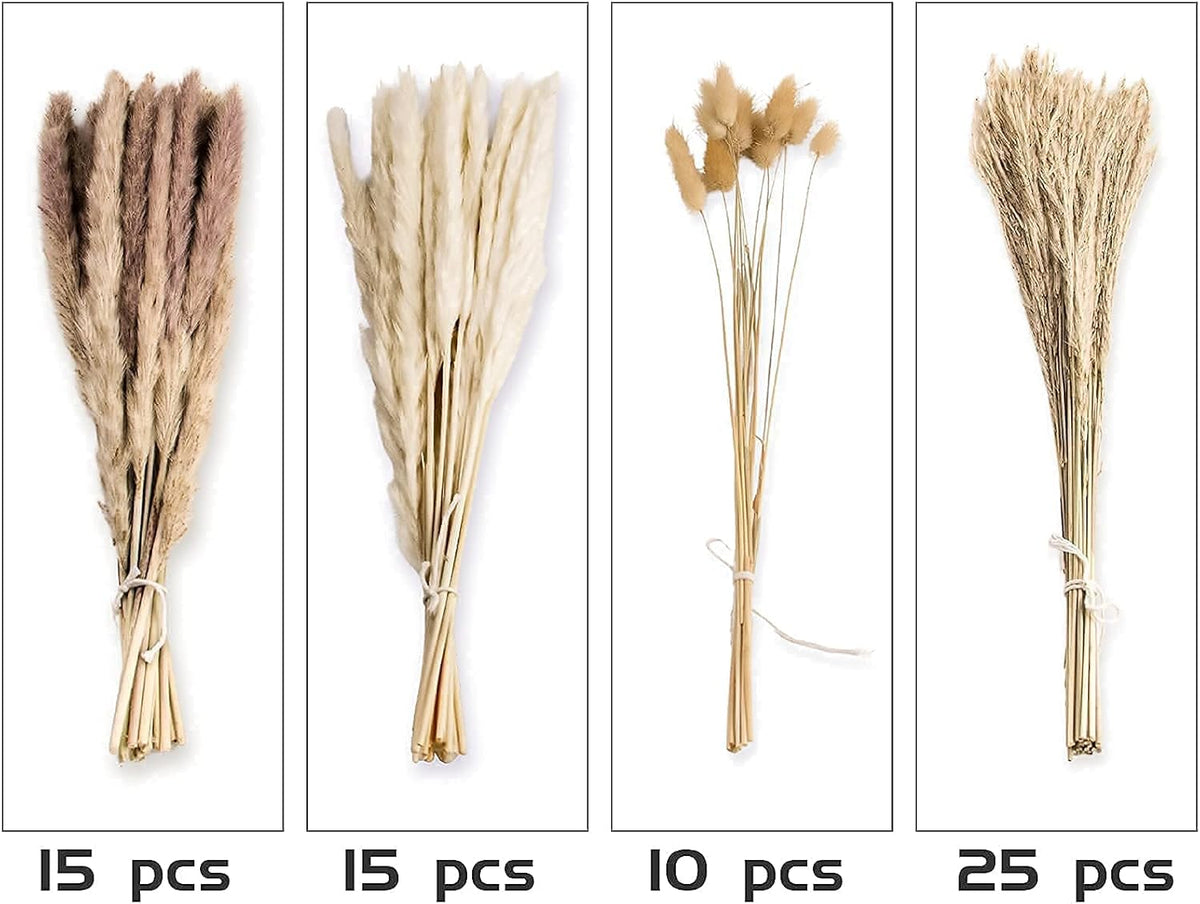 65PCS Pampas Grass Decor, Including pompas Floral, Reed Dried Grass and Bunny Tails Dried Flowers
