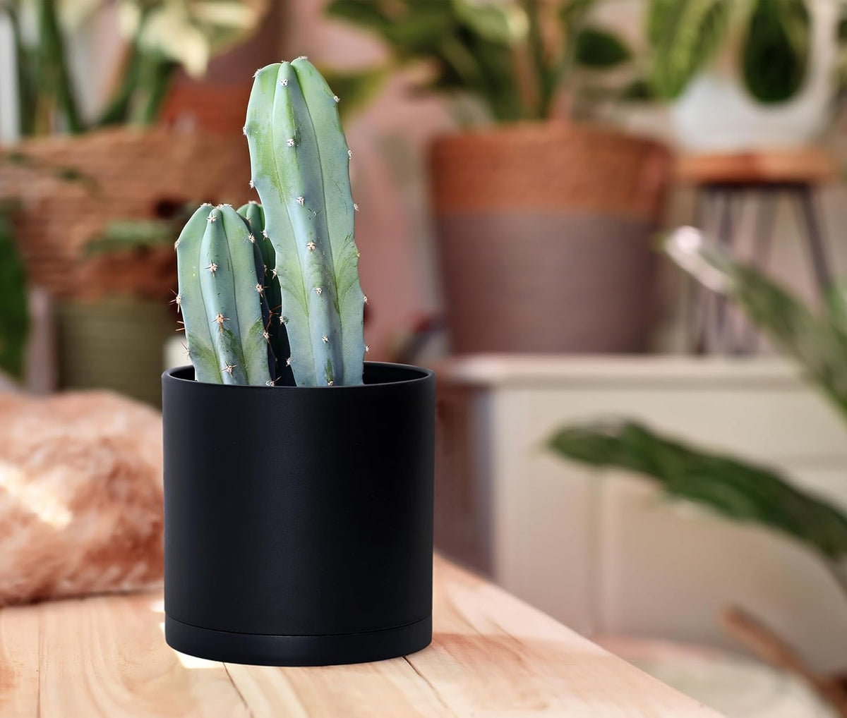 D'vine Dev 2 Pack 5.5 Inch Modern Plastic Plant Pots, Small Garden Planters for Plant with Drainage