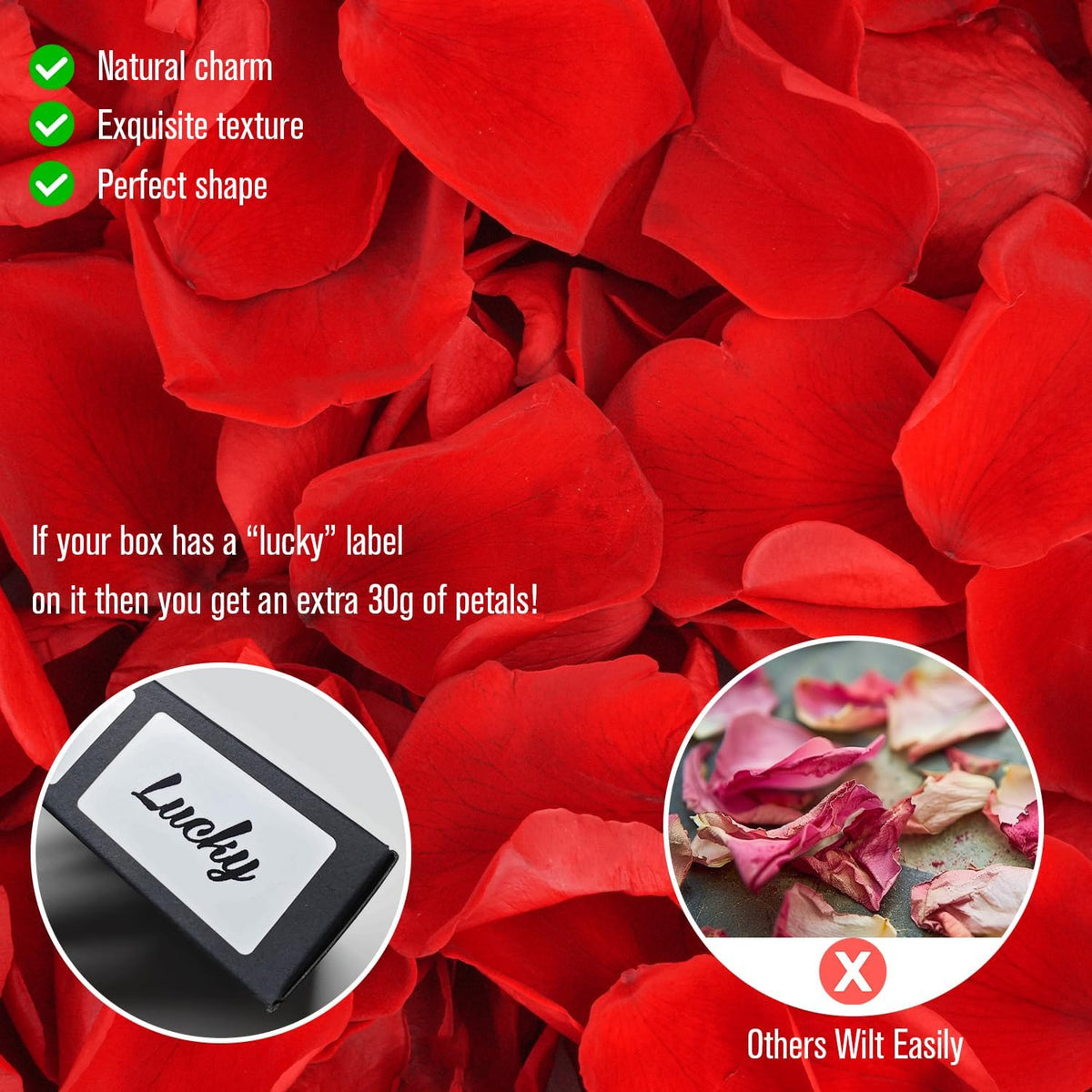 Rosaura Real Preserved Rose Petals 50g(1.75oz) for Wedding Decor, Romantic Nights - Includes Bonus