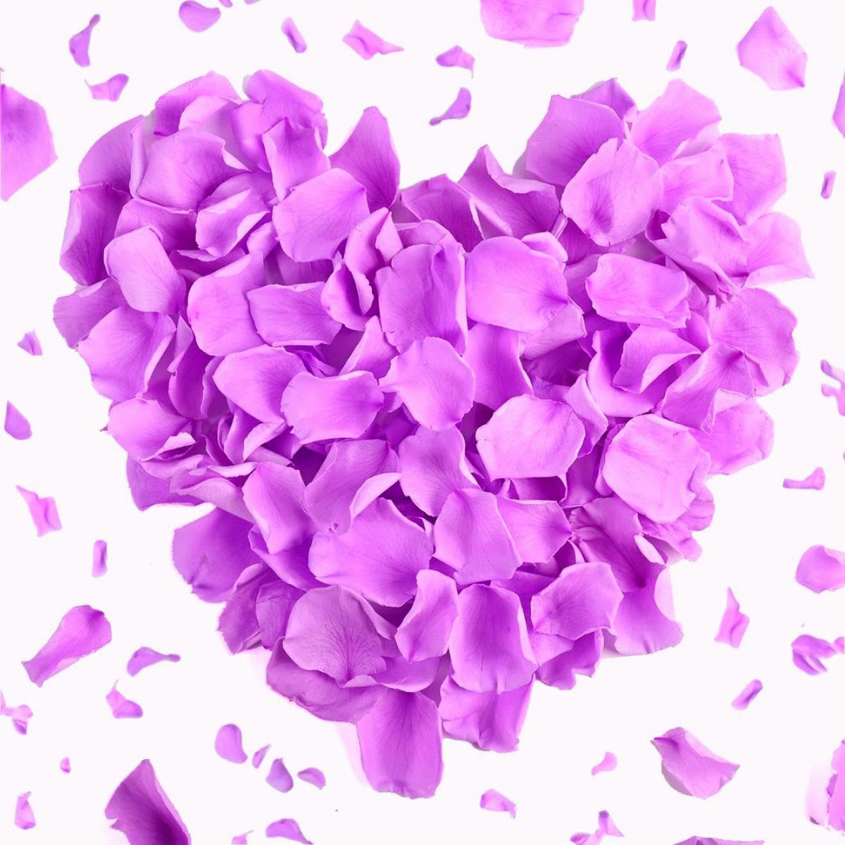 180 PCS Real Purple Rose Petals for Wedding, 1.76oz Dried Flower Petal for Flower Girl to Throw