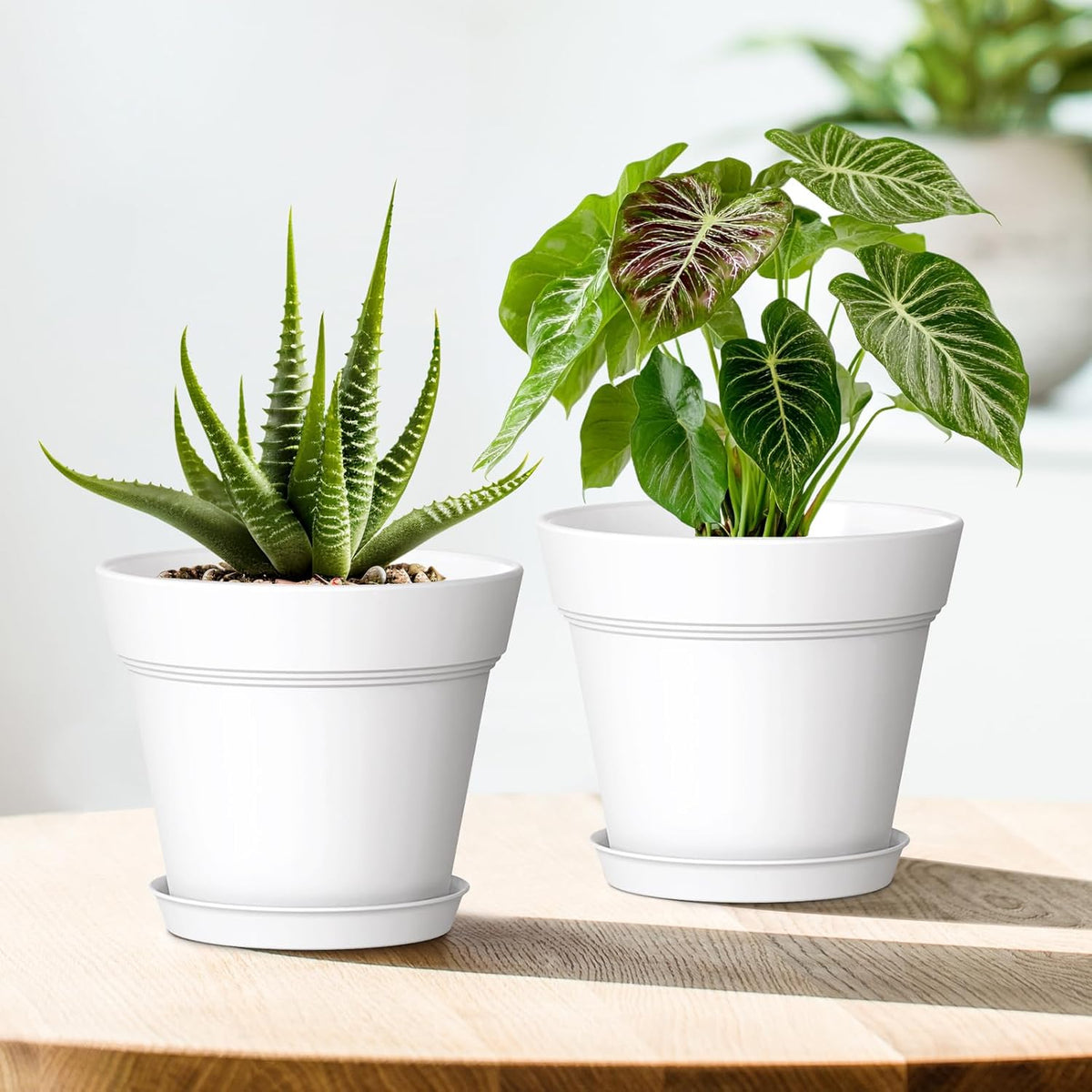 4 Inch Plastic Plant Pots with Drainage Holes and Trays – 8 Pack Small Nursery Pots for Indoor &