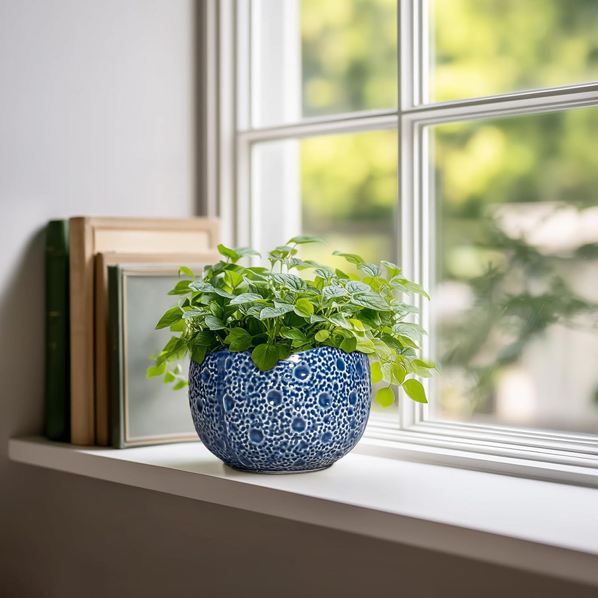 Orchid Pot - 6 Inch Ceramic Plant Pot for Indoor Outdoor, Round Unique Planters with Drainage Hole