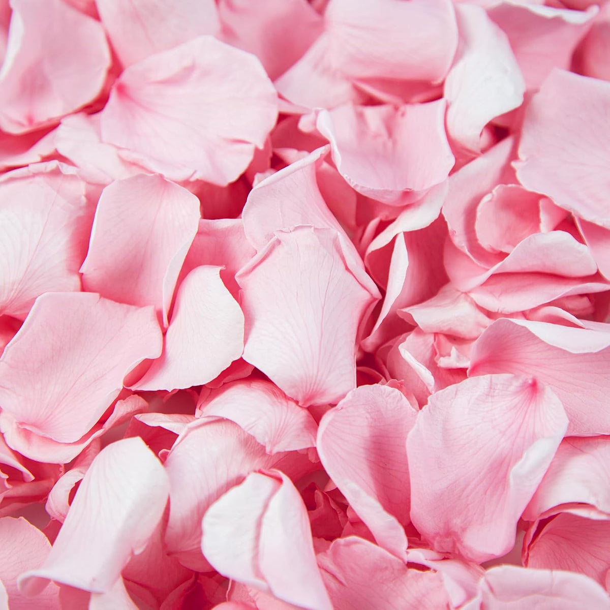 180 PCS Real Pink Dried Rose Petals Confetti for Wedding, 1.75oz Freeze Rose Petals for Romantic