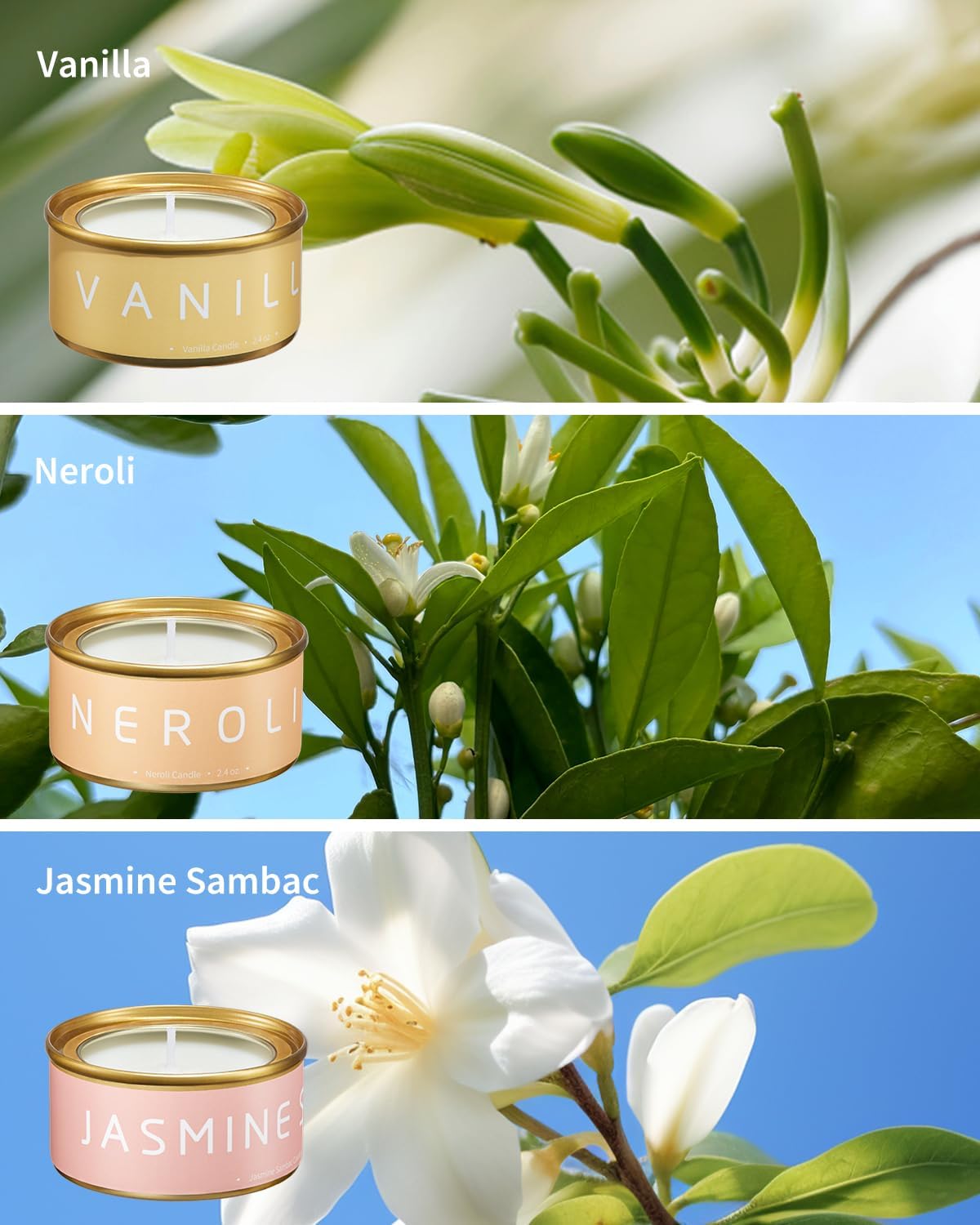 VTS Candles for Home Scented, 6 Pack Aromatherapy Candles (Lavender, Vanilla, English Pear &