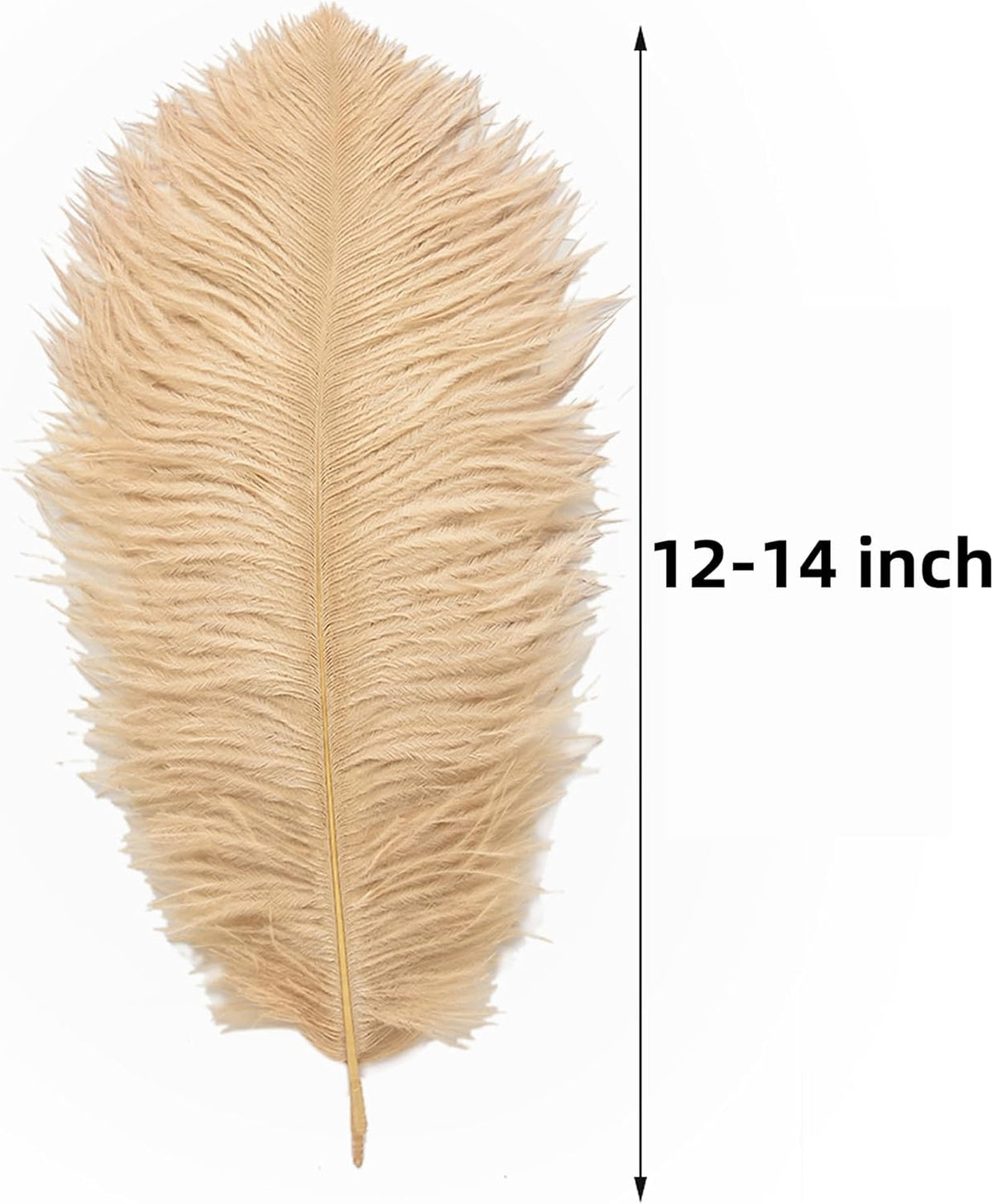 Ballinger Large Champagne Ostrich Feathers - 24pcs 12-14inch Boho Feathers for Vase and Home Decor