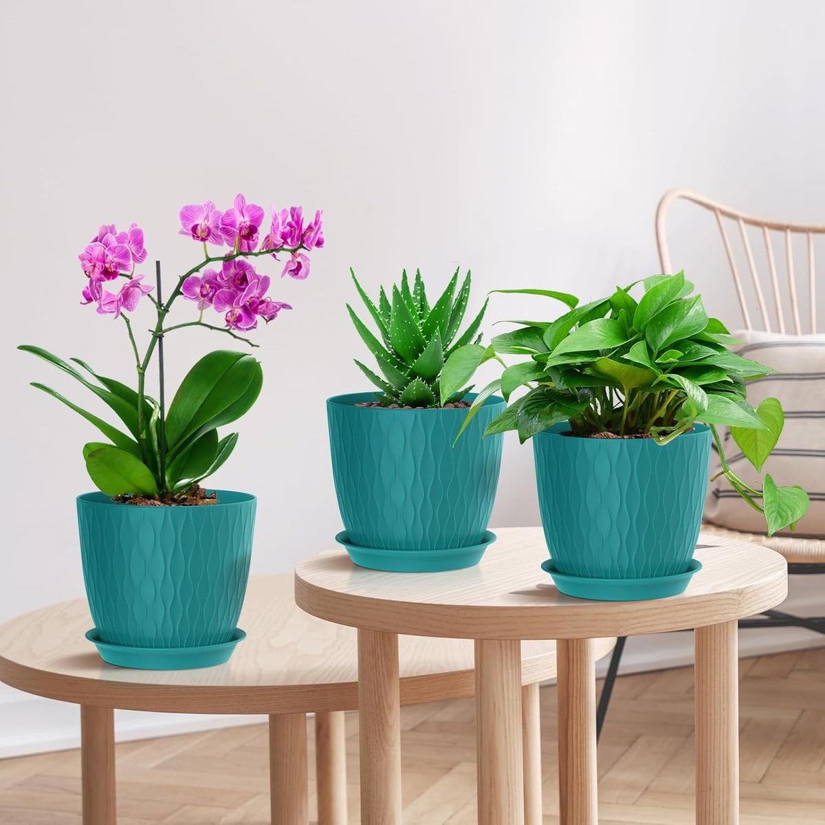 7 inch Flower Pots, 5 Pack Plant Pots with Drainage Holes and Saucers for Indoor Plants, Plastic