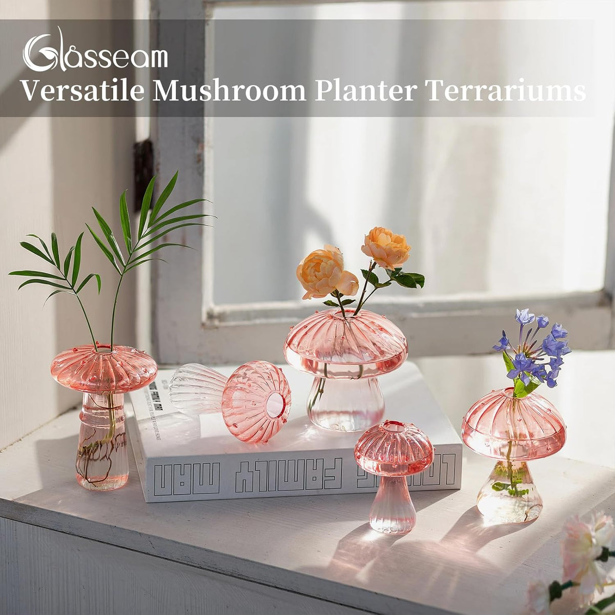 Glasseam Mushroom Plant Propagation Stations: Pink Glass Terrarium Jar Set of 5 Cute Planters for