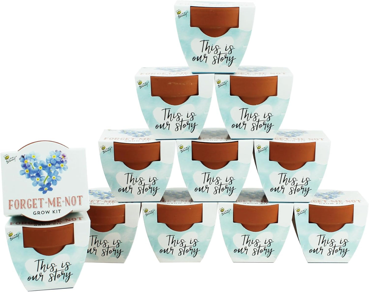 BUZZY Seeds Forget-Me-Not Terracotta Mini Grow Pots Love Collection, 12-Pack All-in-One Gardening