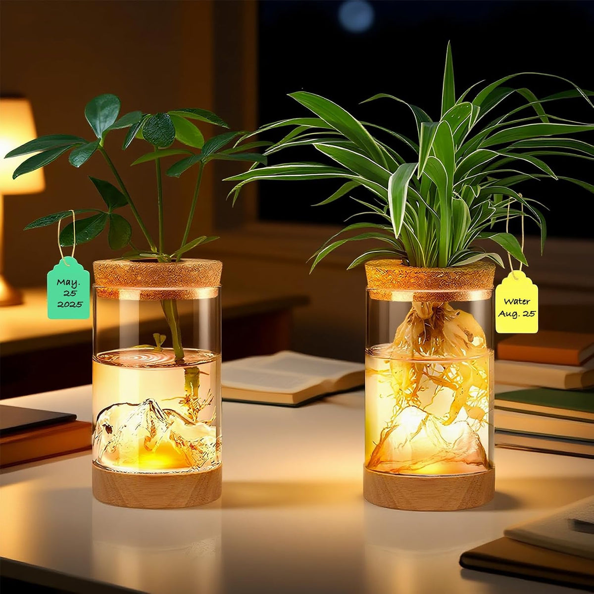 2Pcs Plant Propagation Station with Mountain-Shaped Bottom - Hydroponic Glass Vases, Wooden Base