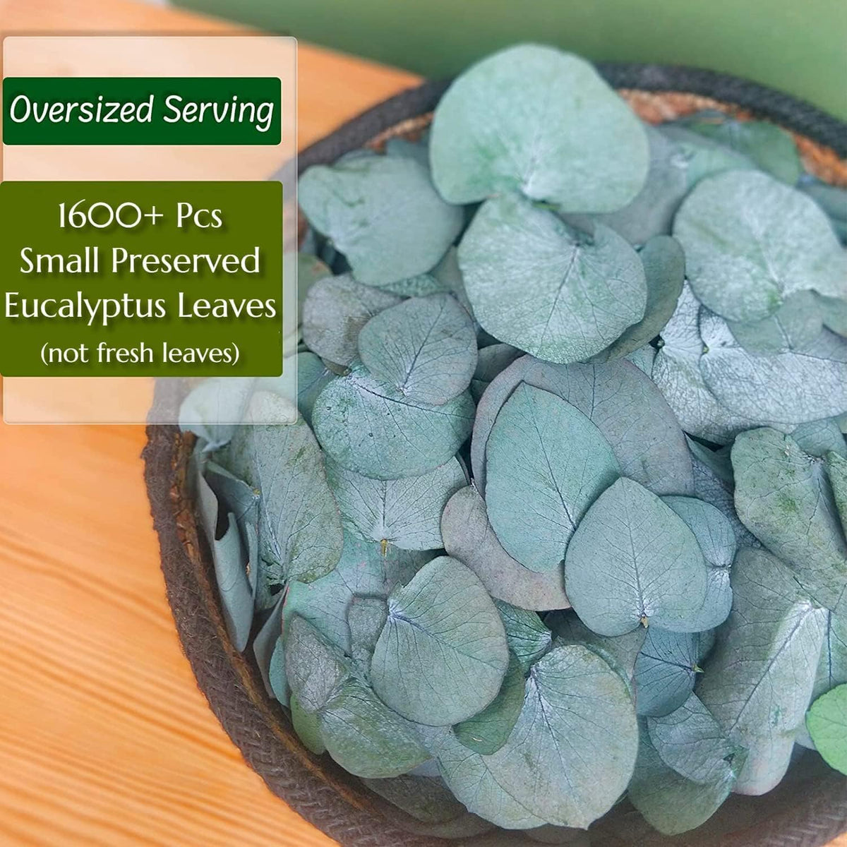 3200Preserved Real Eucalyptus Leaves Small, Pure Natural Bulk Eucalyptus, Biodegradable Wedding