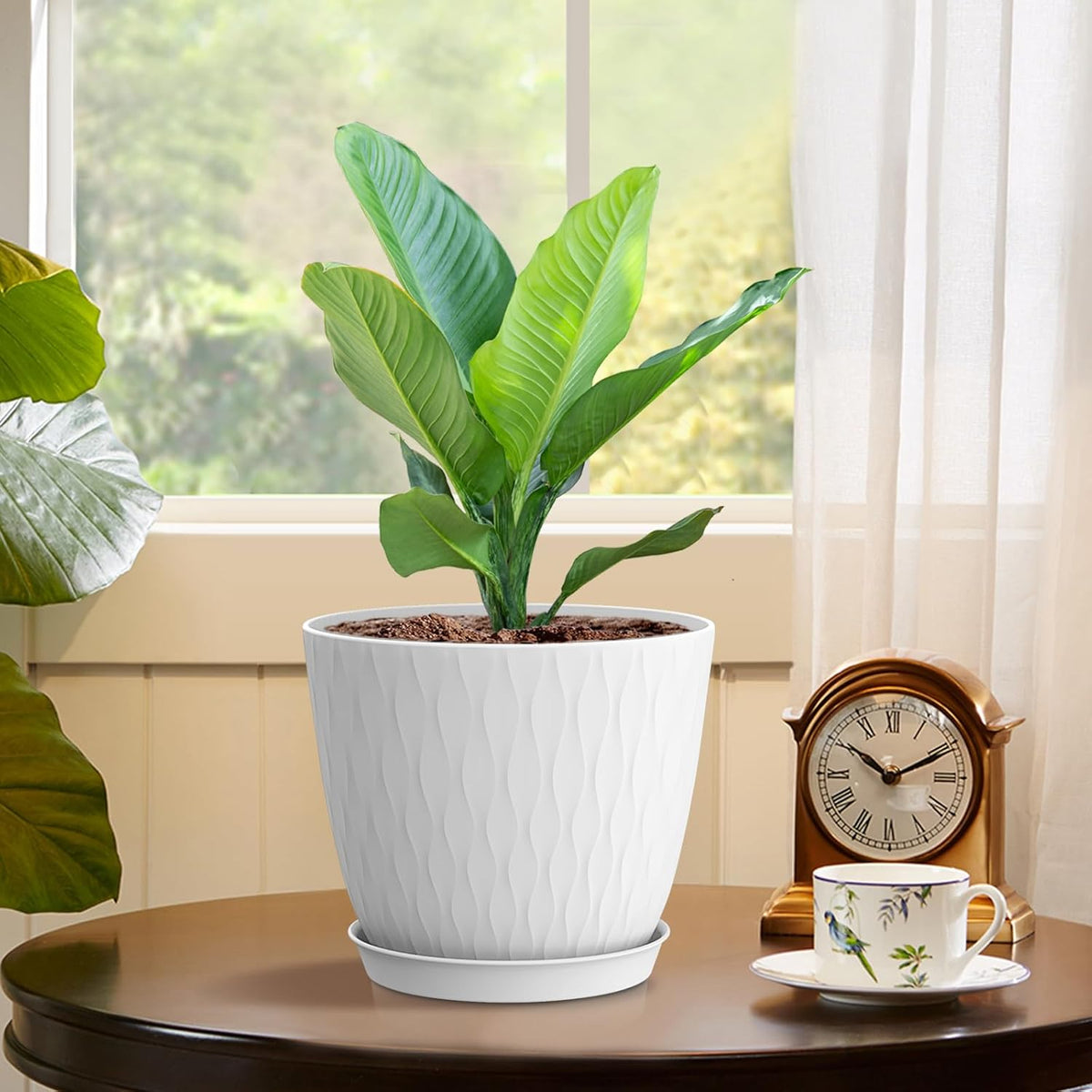 6 inch Flower Pots, 5 Pack Plant Pots with Drainage Holes and Saucers for Indoor Plants, Plastic