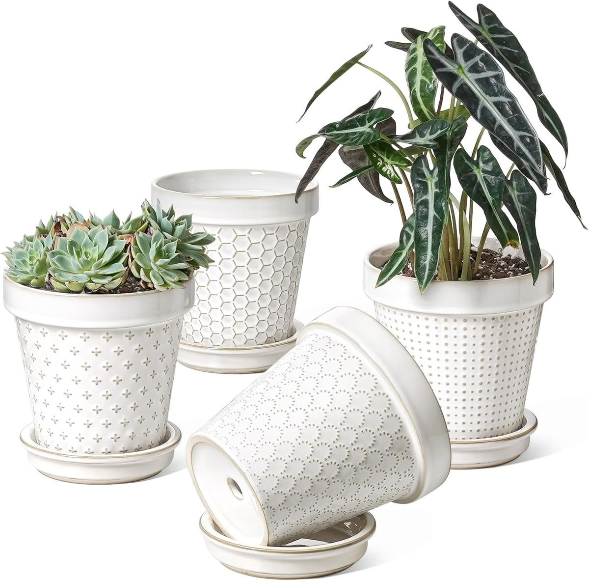 LE TAUCI Ceramic Plant Pots, 6 Inch Flower Pot with Drainage Hole & Saucer, Embossed Planter Pots