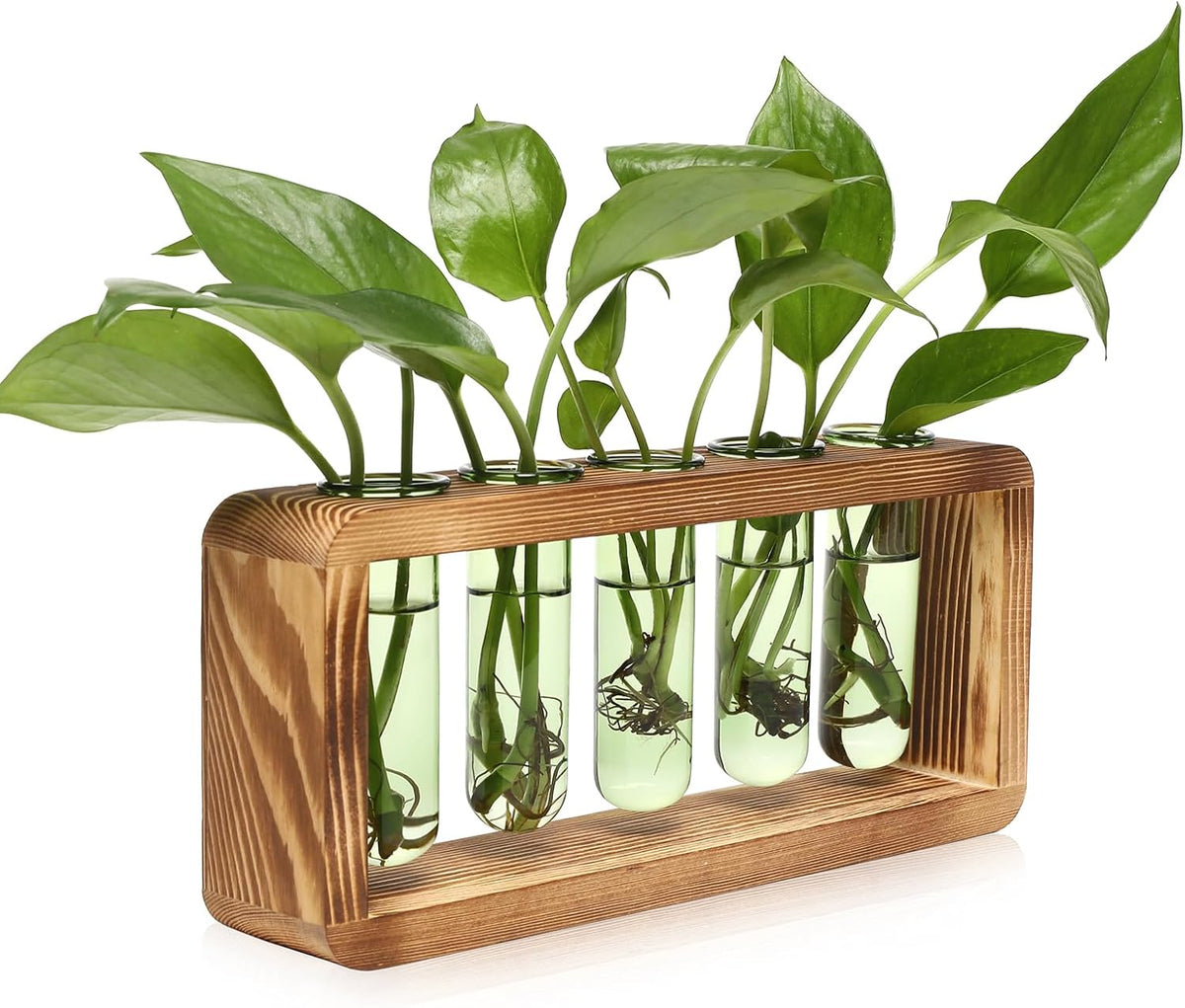 Glass Plant Propagation Station with 5 Test Tubes Colorful Planter Vase Birthday Gifts for Women in