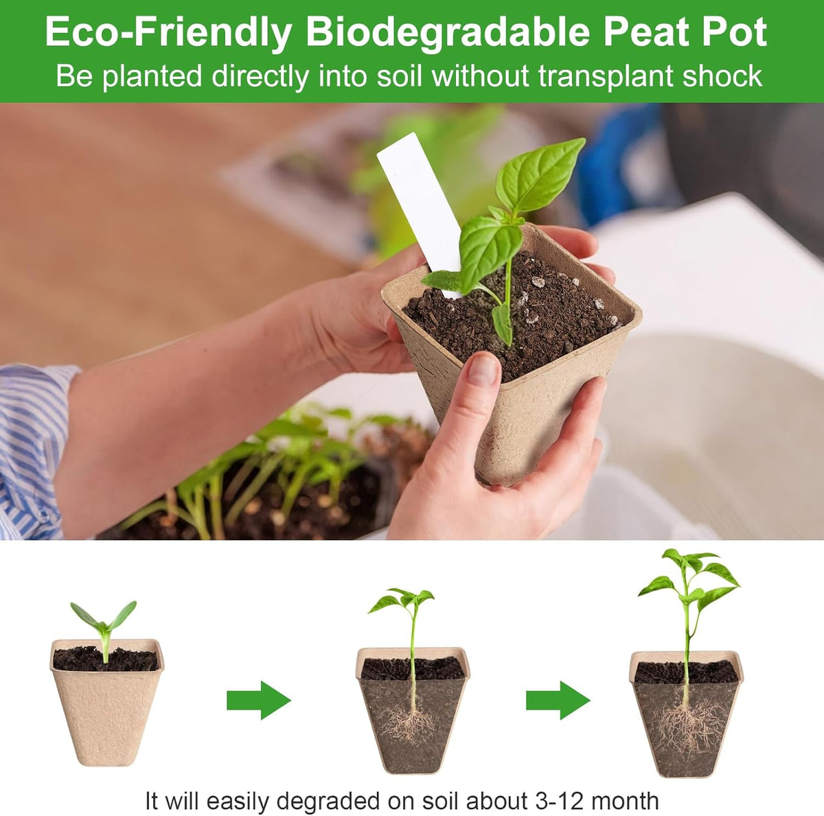 Square Peat Nursery Pots 150 Pcs 3in Biodegradable and Label, Used for Outdoor Gardens in Plant