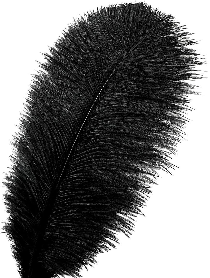 Ballinger Black Ostrich Feathers Bulk - 24Pcs 8-10inch Feathers for Crafts,Gatsby and Halloween