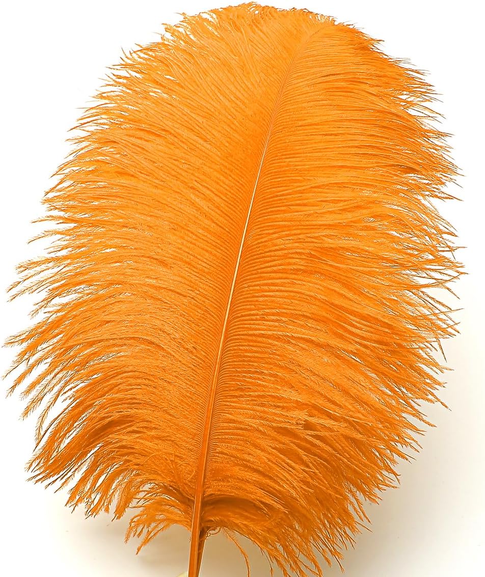 Ballinger Orange Large Ostrich Feathers - 24Pcs 12-14inch Big Feathers for Crafts,Wedding Party