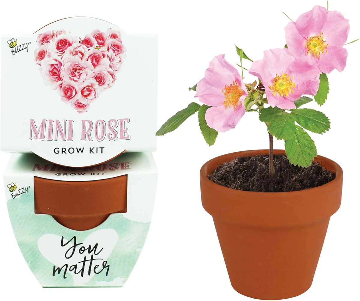 BUZZY Seeds Love Collection Mini Rose Terracotta Grow Pots, 12-Pack Gardening Kit Ideal for Wedding