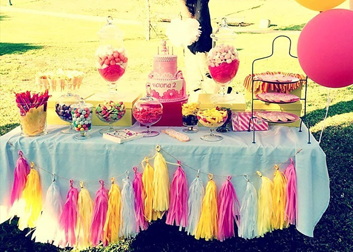ZOOYOO Tassel Garland Tissue Paper Tassel Banner,Table Decor,DIY Kits for Various Party, Tassels