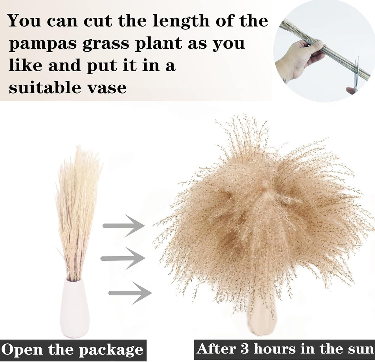 200PCS Dried Flower Bouquet – Pampas Grass, Floral Decor for Home, Wedding, and Boho Style |