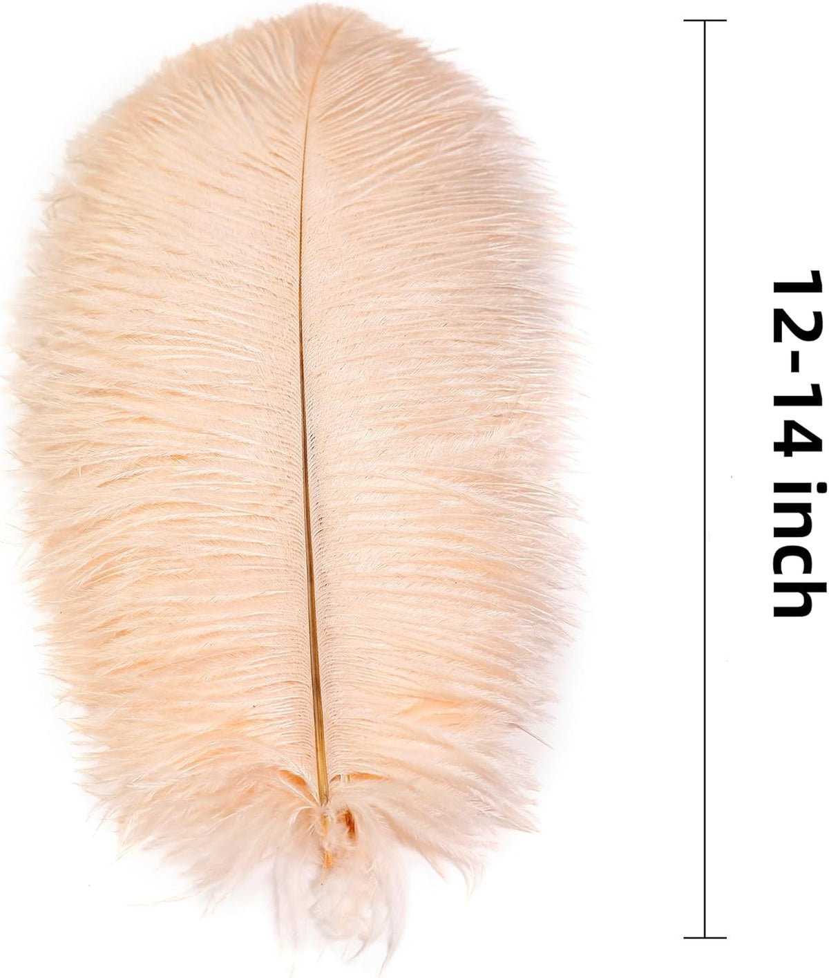 Ballinger Light Salmon Ostrich Feathers - 24pcs 12-14inch Big Feathers for Crafts，Wedding Party