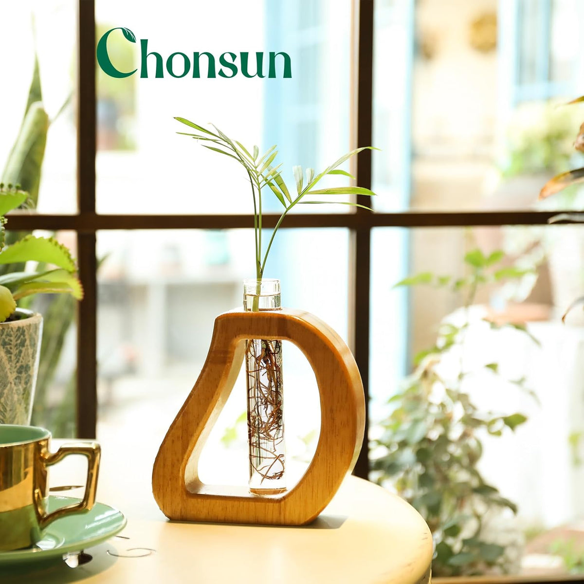 Plant Propagation Stations Wall Hanging Terrariums Home Decor Plants Glass Test Tube Planter with