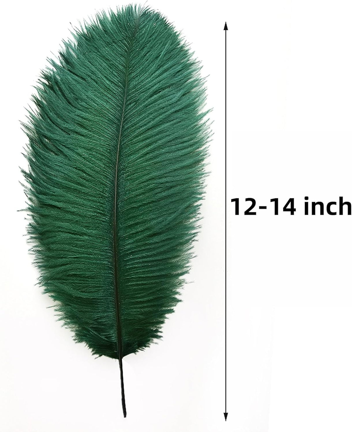 Ballinger Blackish Green Ostrich Feathers Bulk- 24pcs 12-14inch Big Feathers for Wedding Party