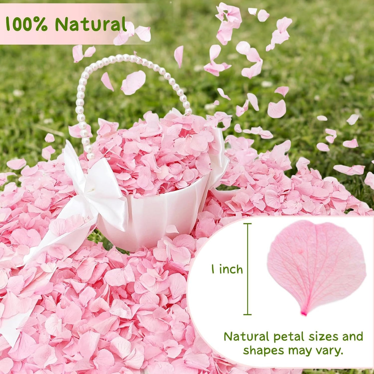 1500Pcs Real Hydrangea Pink Dried Flower Petals - 1.06 oz Natural Dried Pink Petals for Romantic