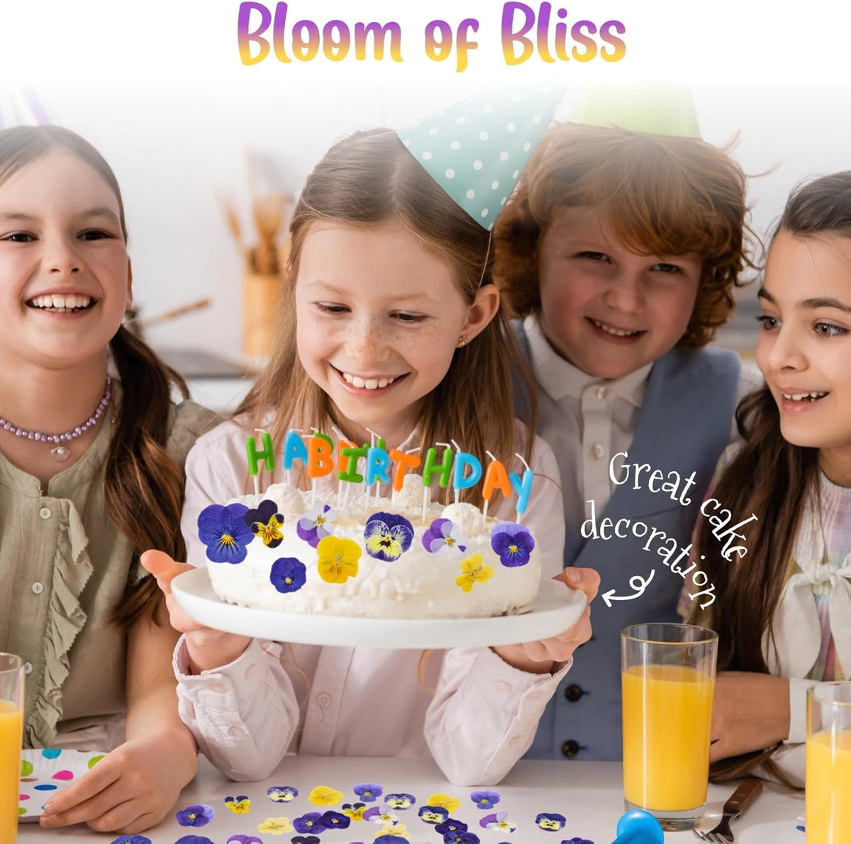 40 Pcs 8 Kinds Natural Dried Pressed Edible Flowers for Cake Topper Decorating - Mix Viola Tricolor