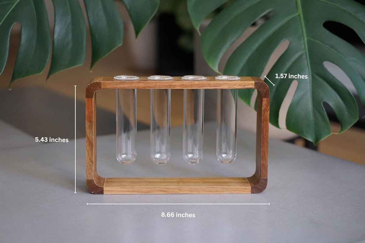 Source & Plot - Plant Propagation Station - Acacia Wood Stand 4 Glass Test Tube Hydroponic Tabletop