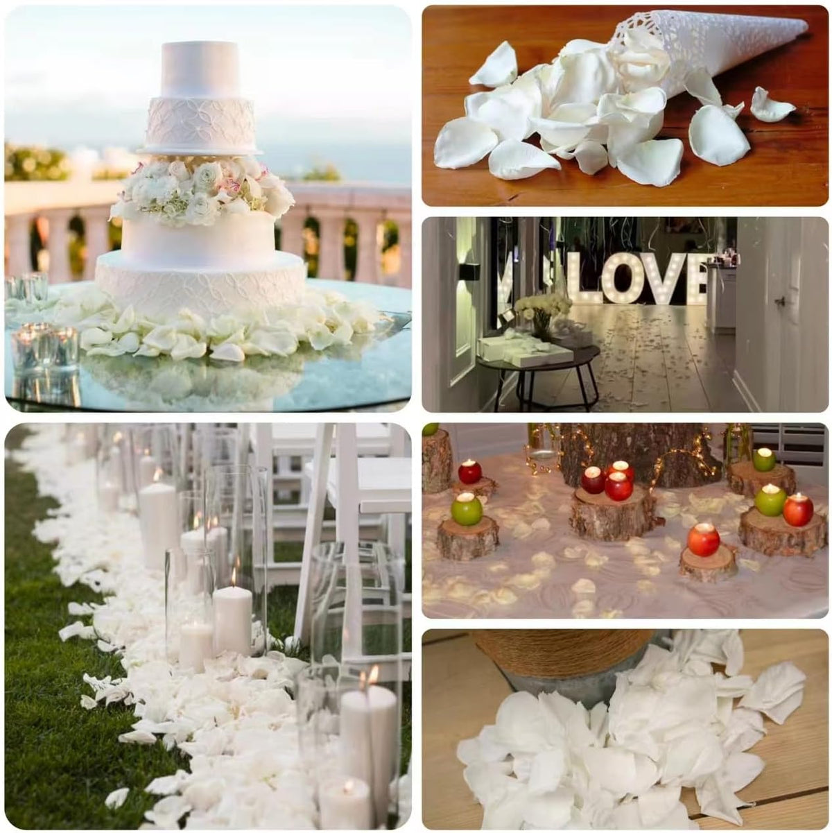Dried Real White Rose Petals, Freeze Preserved Flower Petals 2.8 oz for Valentine's Day Gifts