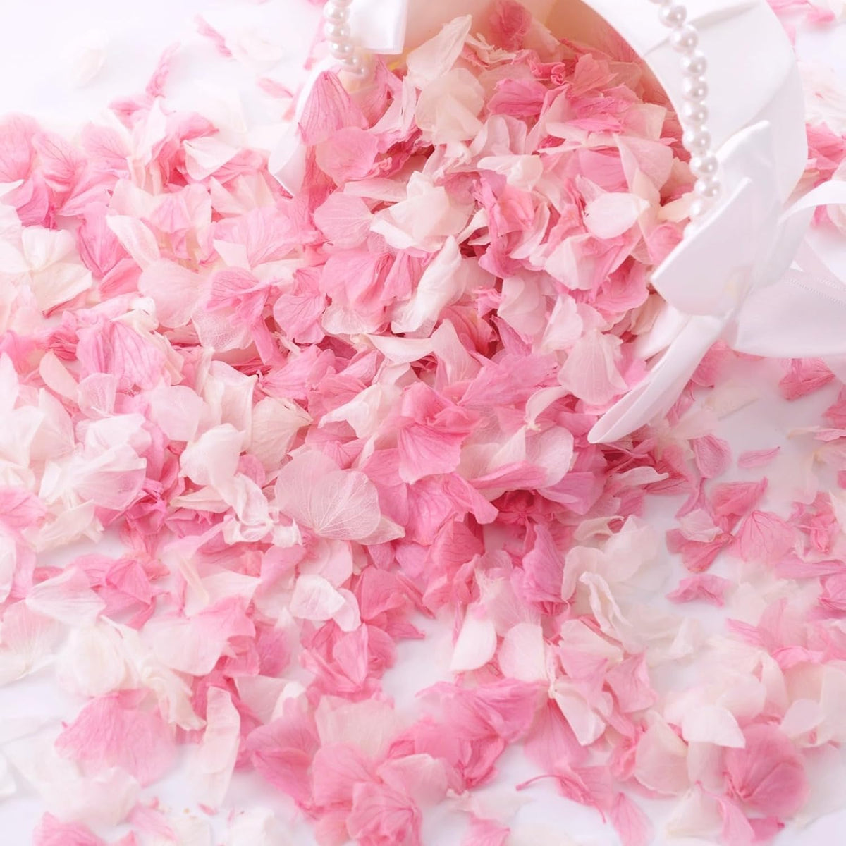 1500+ Real Dried Hydrangea Flower Petals -1.06Oz Real Natural Preserved Petals for Wedding, Party
