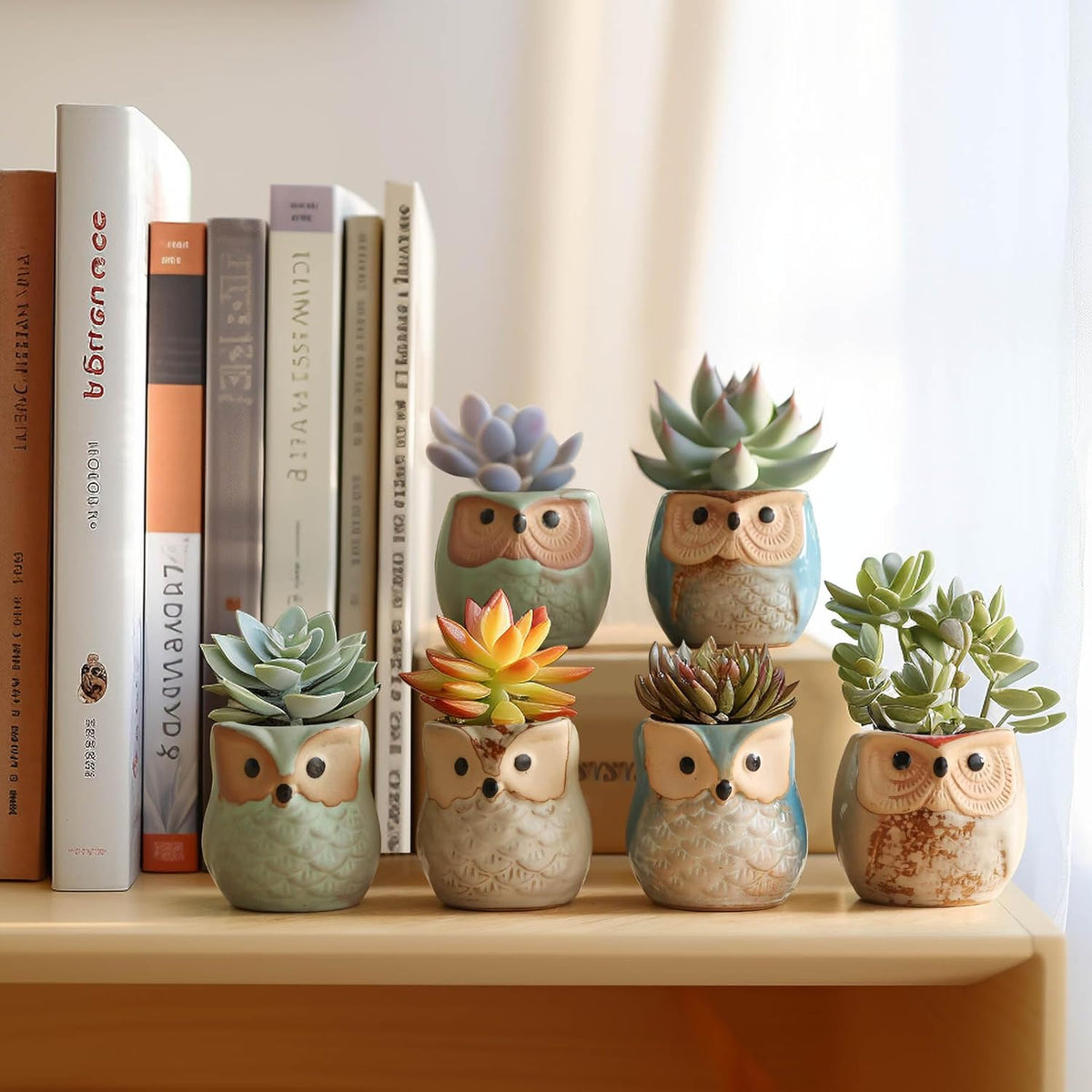 T4U 2.5 Inch Owl Ceramic Succulent Planter Pots with Drainage Hole Set of 6, Mini Cute Flower Pots