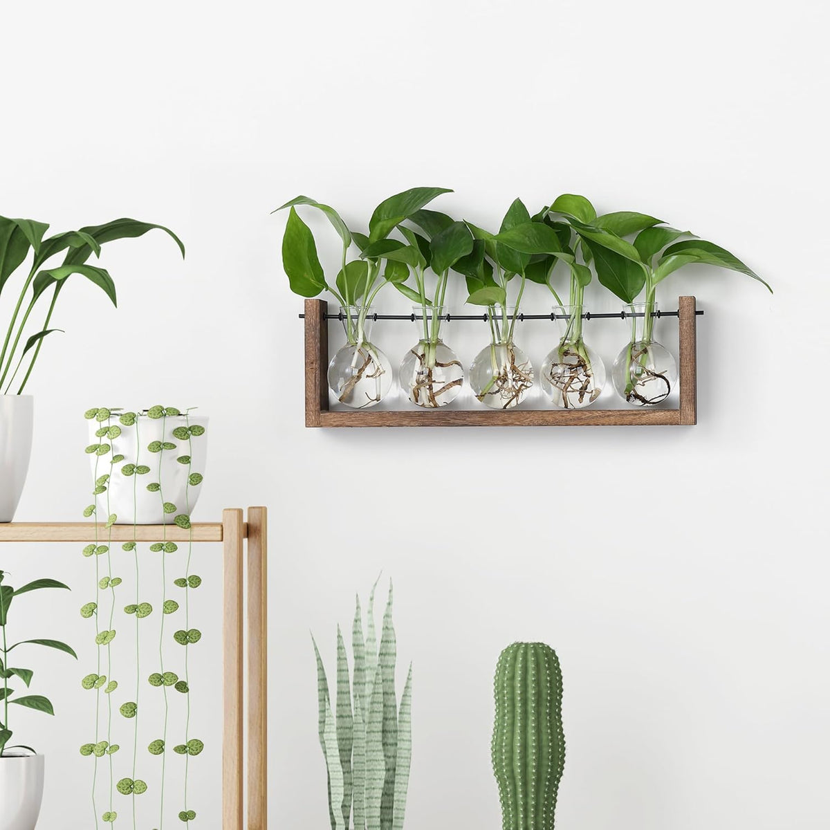 YIBOT Plants Propagation Stations,Plant Terrarium with Wooden Stand,Wall Hanging Glass Planter