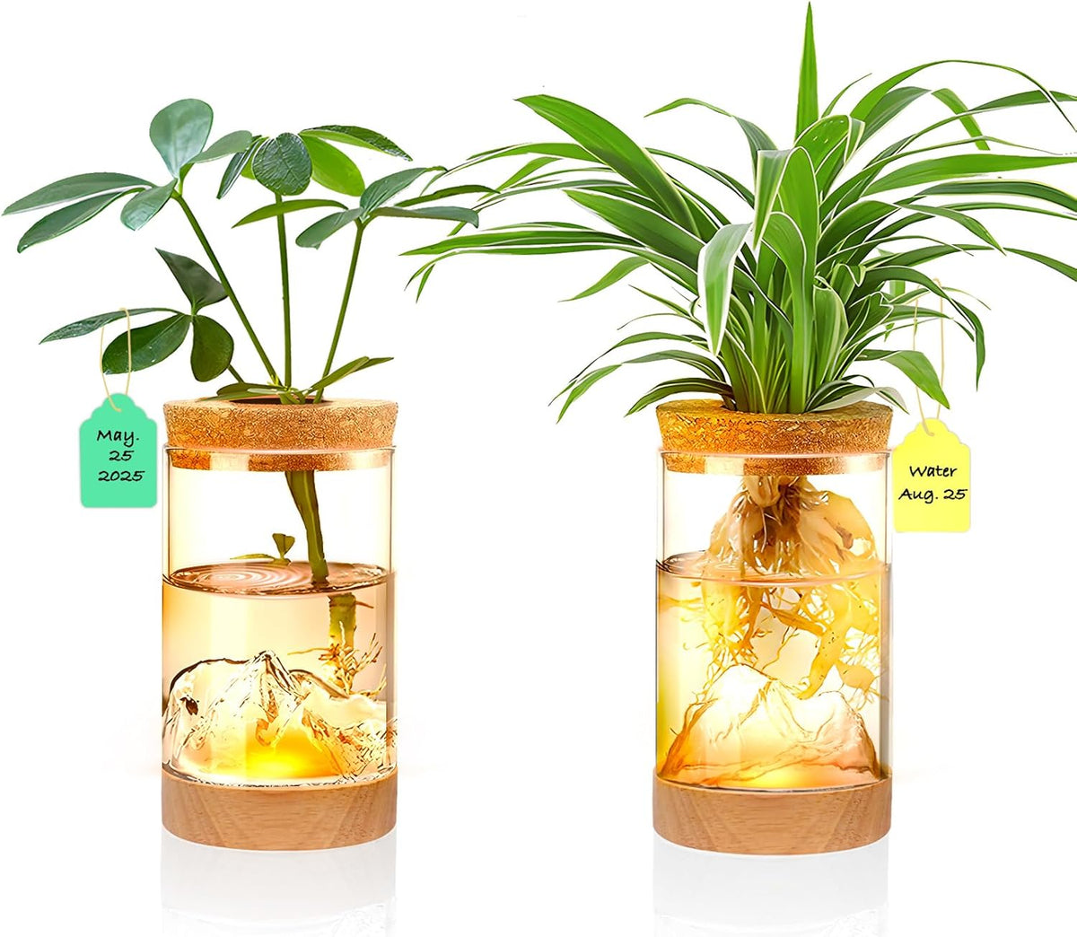 2Pcs Plant Propagation Station with Mountain-Shaped Bottom - Hydroponic Glass Vases, Wooden Base