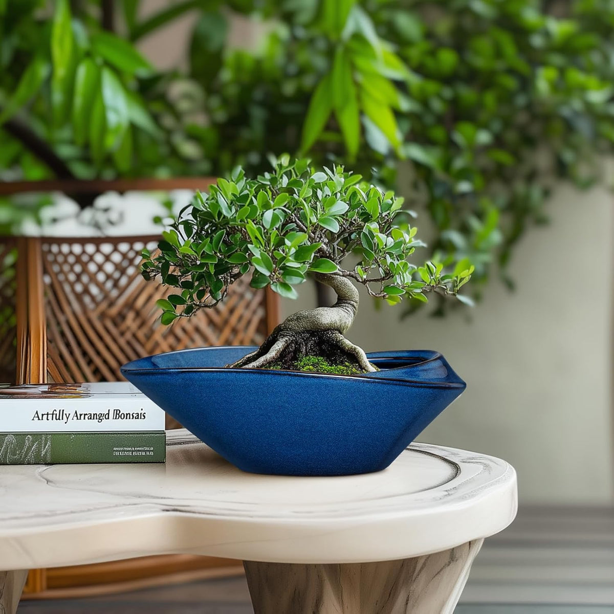 Bonsai Tree Pot - Ceramic Planter Pot with Drainage Hole 12 Inch Bonsai Pots Decorative Orchid