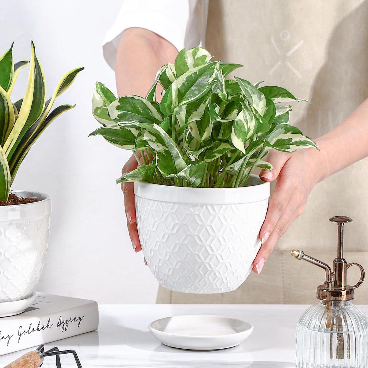 Sureasy Ceramic Indoor Plant Pots - 5.6 Inch Flower Pots for Plants with Drainage Hole and Saucer
