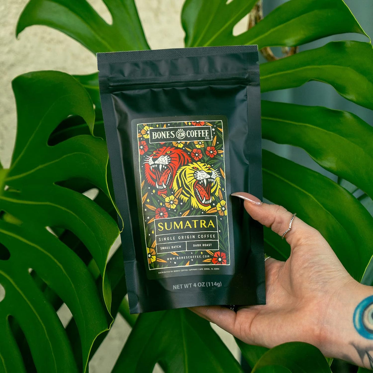 Bones Coffee Company NEW World Tour Sample Pack Box Set with Specialty Coffee Mug, 5 Assorted