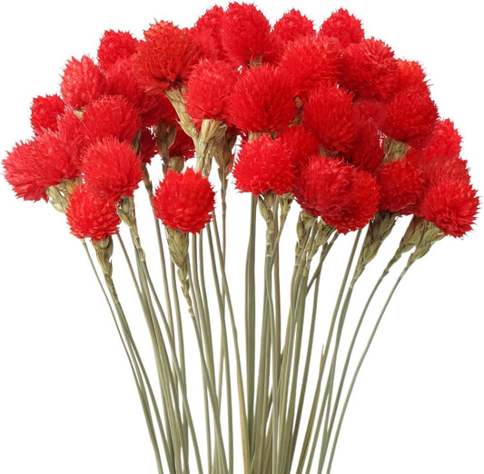 Dried Globe Amaranth Flower with Wheat Straw 40PCS Bouquet for Vase Home Decor Party DIY