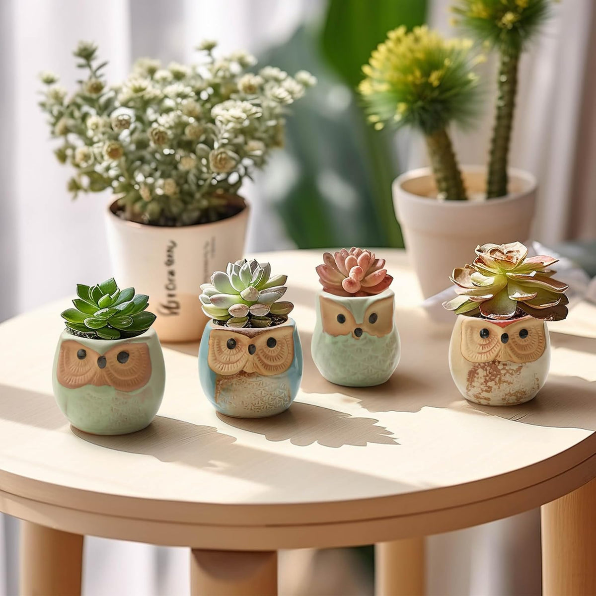 T4U 2.5 Inch Owl Ceramic Succulent Planter Pots with Drainage Hole Set of 12, Mini Cactus Pots Tiny