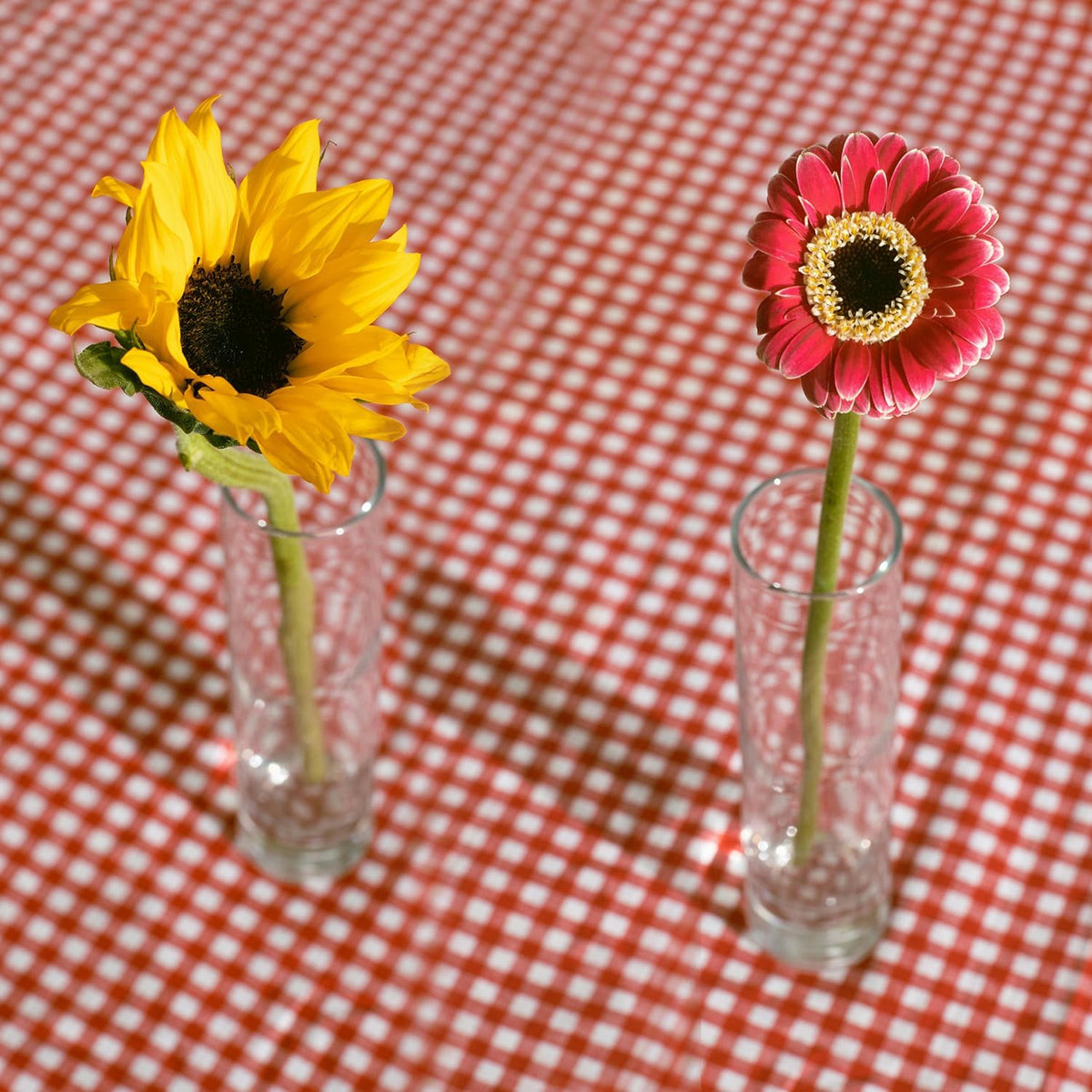 12 Pack 7 Inch Glass Cylinder Bud Vases for Centerpieces Clear Slim Flower Vases Tall Glass